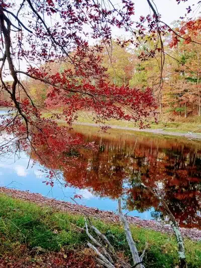 Brill - Brill, WI