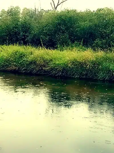 Brill - Brill, WI