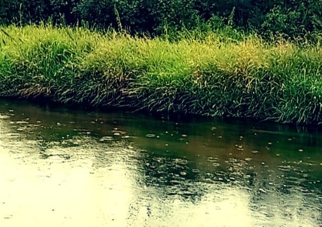 Brill - Brill, WI