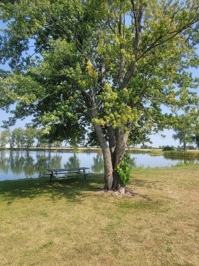 Brimfield Community Park - Brimfield, IL