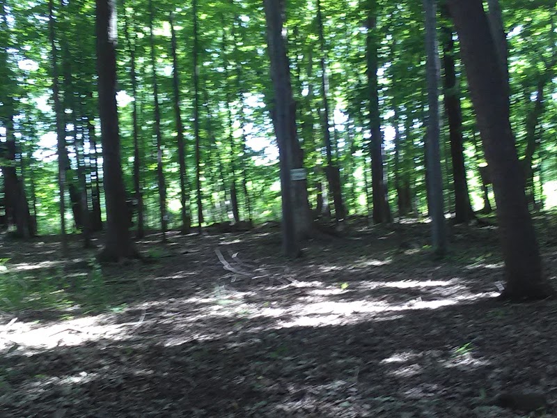 Sweden Dog Park - Brockport, NY