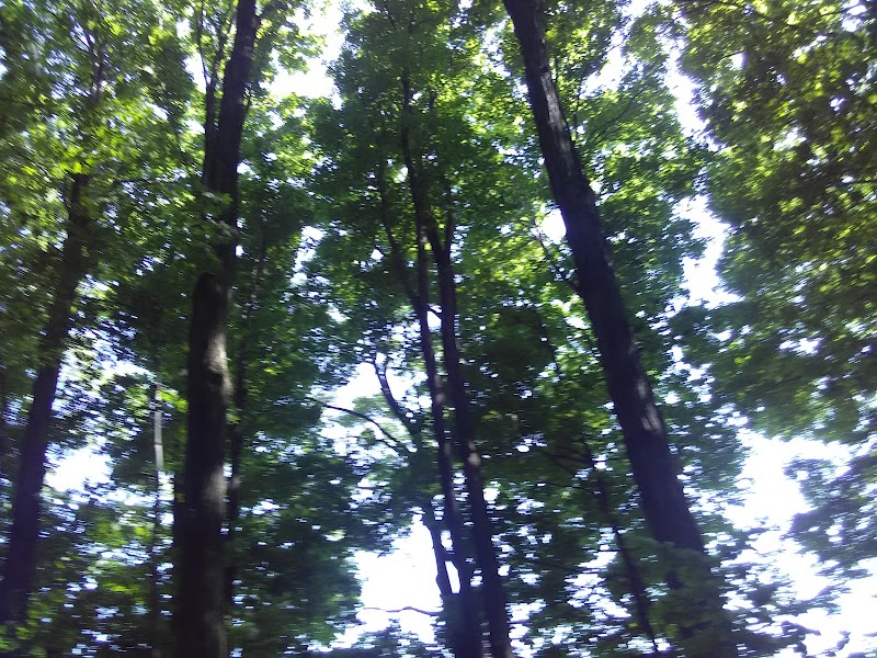 Sweden Dog Park - Brockport, NY