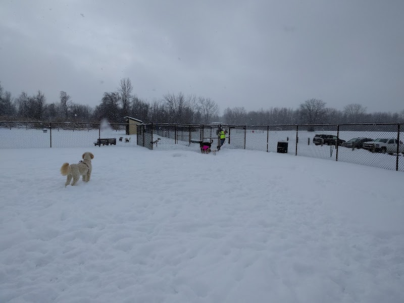 Sweden Dog Park - Brockport, NY
