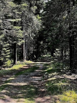 Harriman Point Preserve