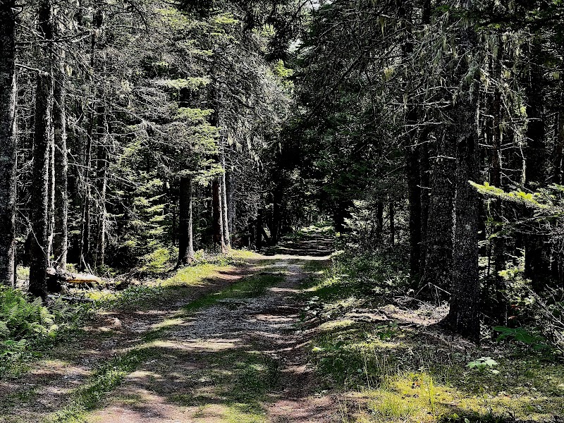 Harriman Point Preserve - Brooklin, ME
