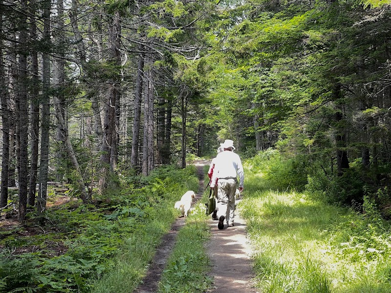 Harriman Point Preserve - Brooklin, ME