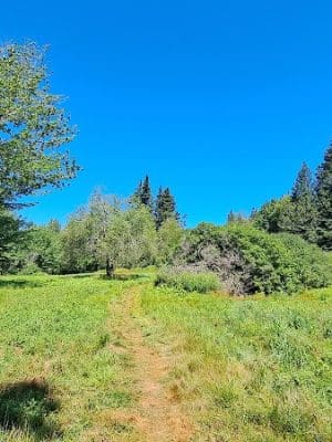 Harriman Point Preserve