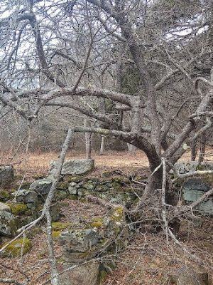 Harriman Point Preserve