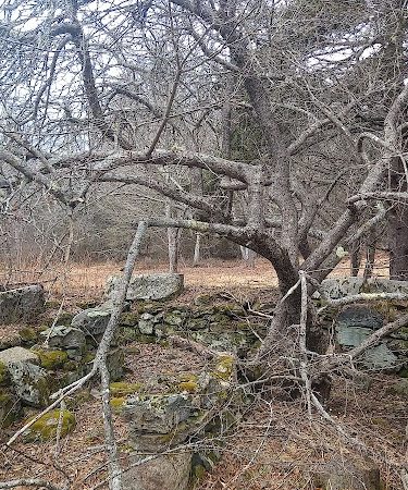 Harriman Point Preserve