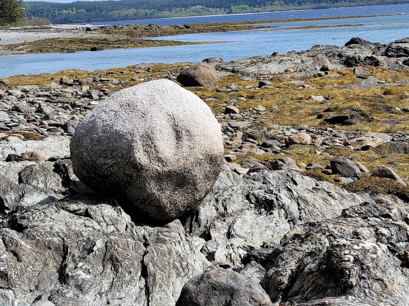 Harriman Point Preserve - Brooklin, ME
