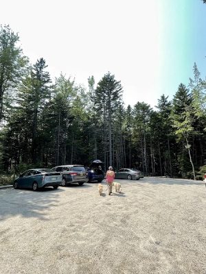 Harriman Point Preserve