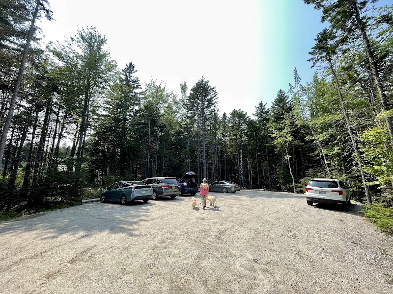 Harriman Point Preserve - Brooklin, ME