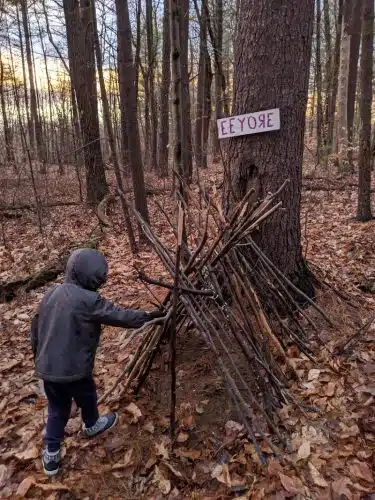 Hundred Acre Wood - Blue Hill Heritage Trust
