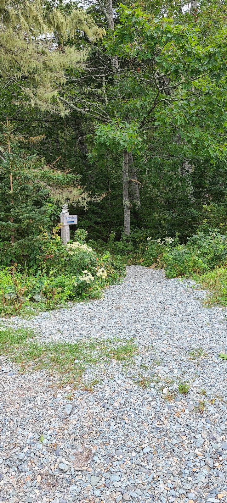 Eastern Beach - Brooklin, ME
