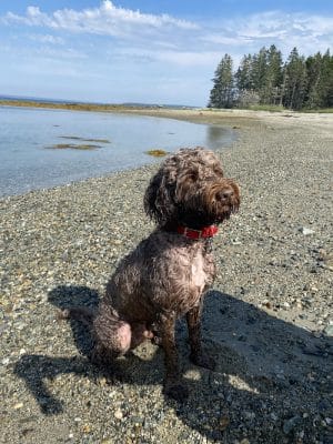 Eastern Beach