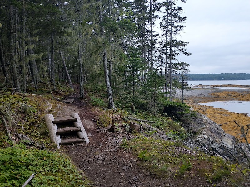 Eastern Beach - Brooklin, ME