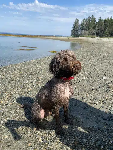 Eastern Beach