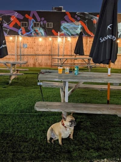 Bark Park - Brooklyn, NY