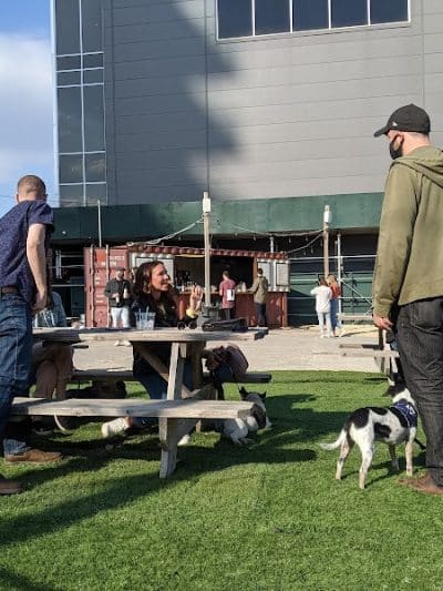 Bark Park - Brooklyn, NY