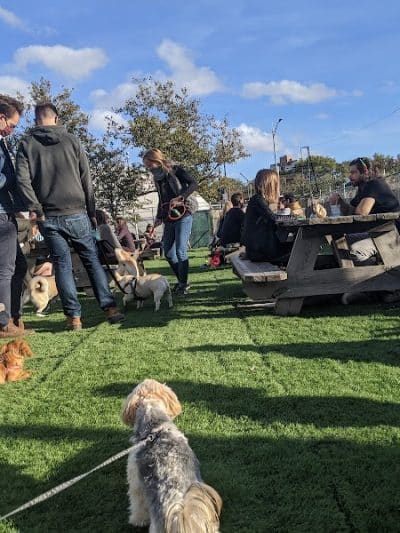 Bark Park - Brooklyn, NY