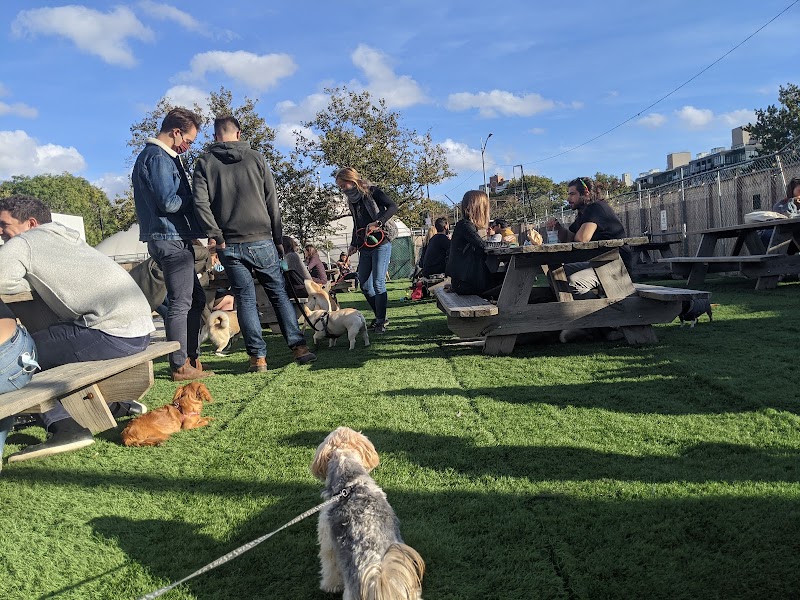 Bark Park - Brooklyn, NY
