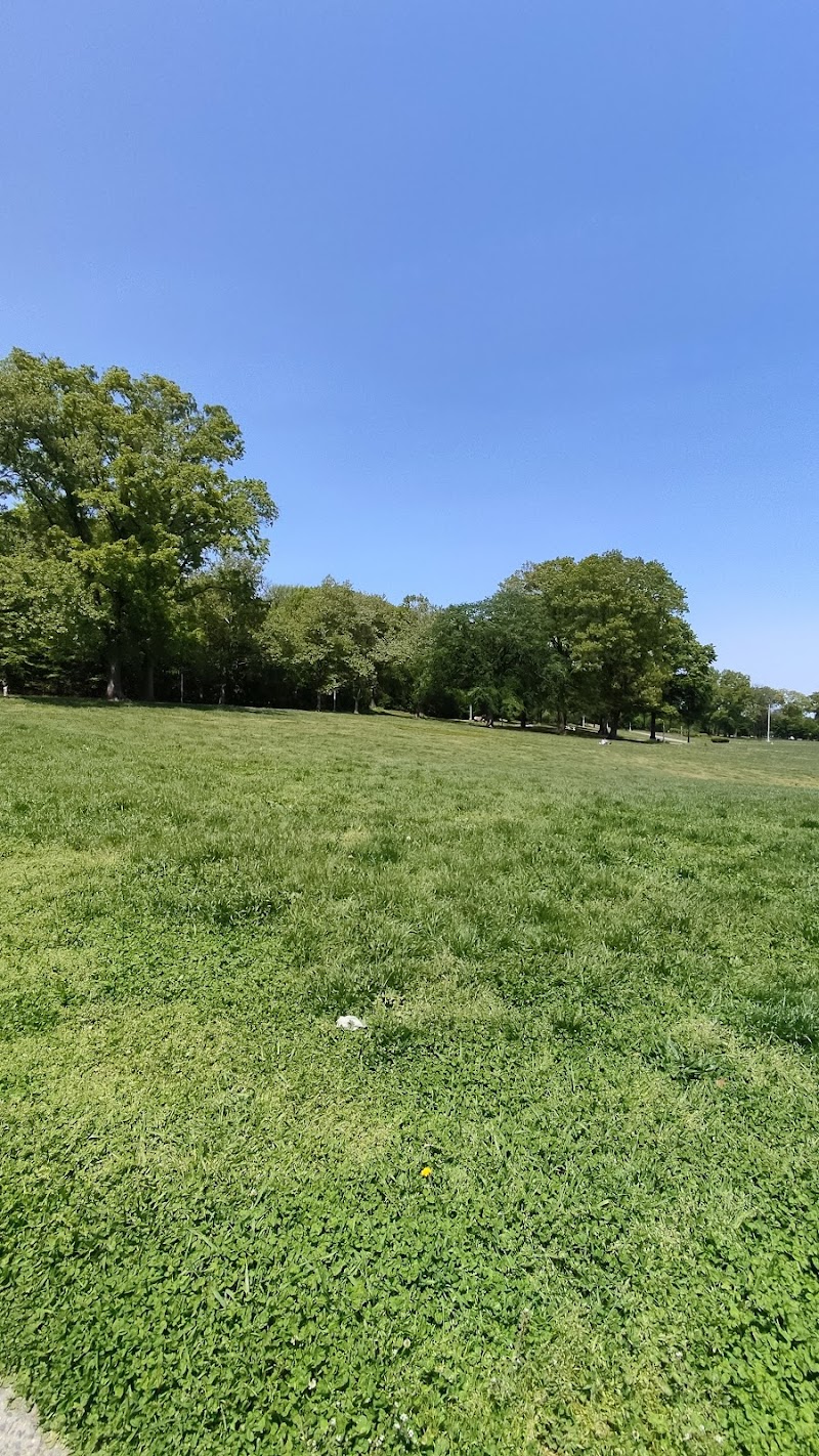 Highland Park - Brooklyn, NY