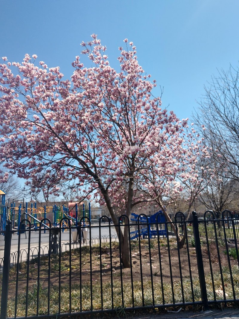 Maria Hernandez Park - Brooklyn, NY
