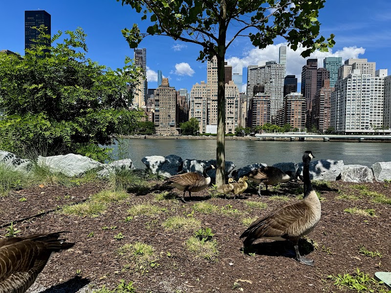 Pier 1 Playground - Brooklyn, NY