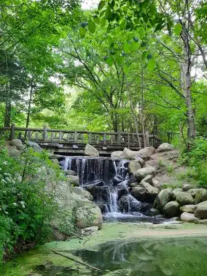 Prospect Park