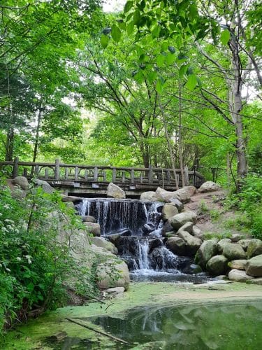 Prospect Park
