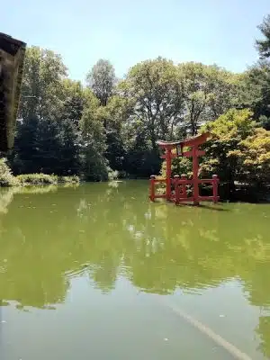Prospect Park