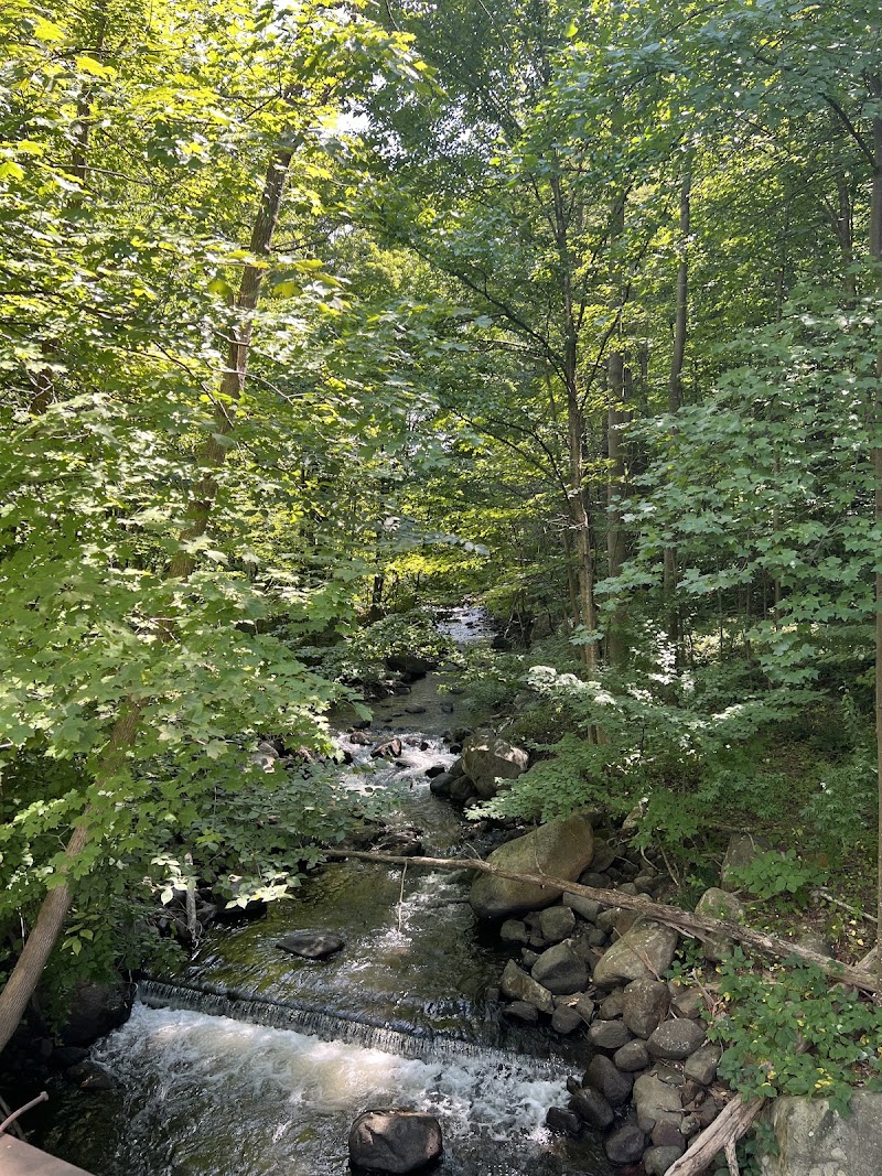 Morris Canal Greenway Trail - Budd Lake, NJ