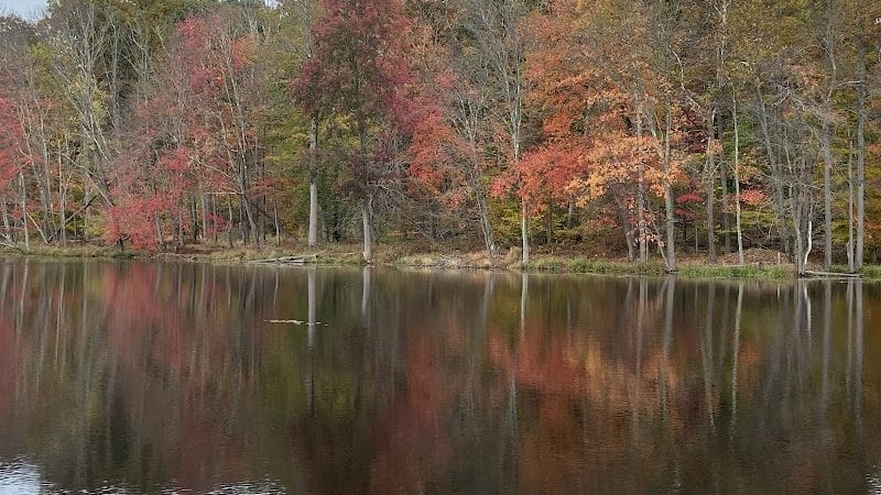 Turkey Brook Park - Budd Lake, NJ