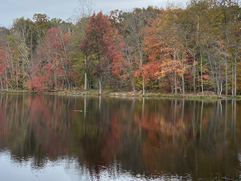 Turkey Brook Park - Budd Lake, NJ