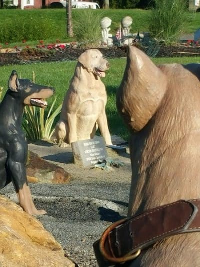 War Dog Memorial - Budd Lake, NJ