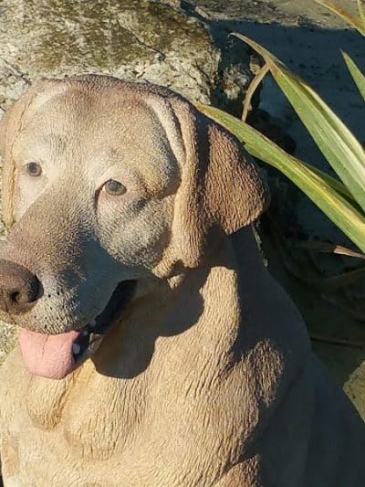 War Dog Memorial - Budd Lake, NJ