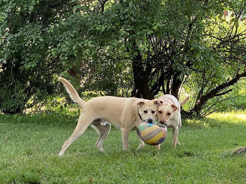 Happy Tails Dog Park - Buffalo Grove - Buffalo Grove, IL