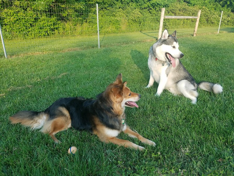 Happy Tails Dog Park - Buffalo Grove - Buffalo Grove, IL