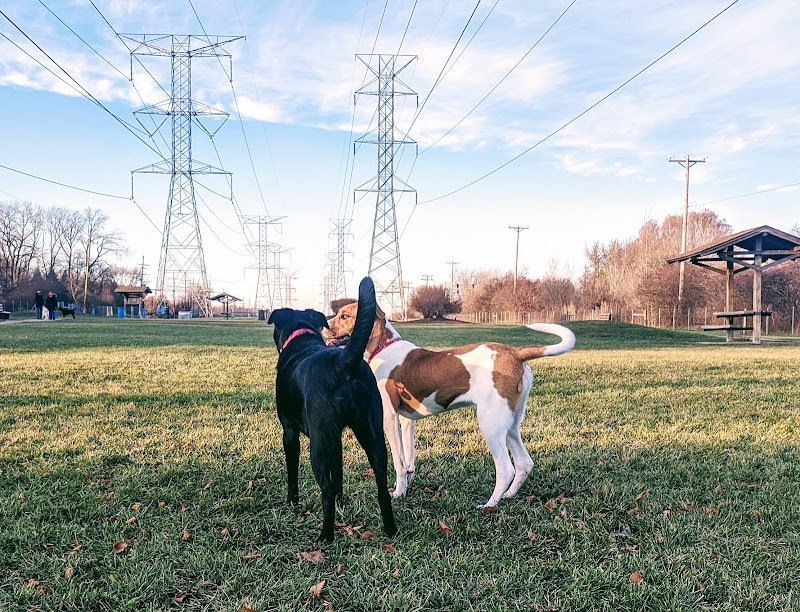Happy Tails Dog Park - Buffalo Grove - Buffalo Grove, IL
