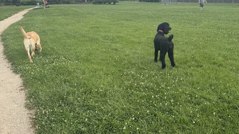 Happy Tails Dog Park - Buffalo Grove - Buffalo Grove, IL