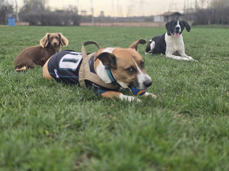 Happy Tails Dog Park - Buffalo Grove - Buffalo Grove, IL