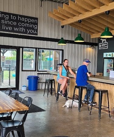 Barkology - Buffalo, NY