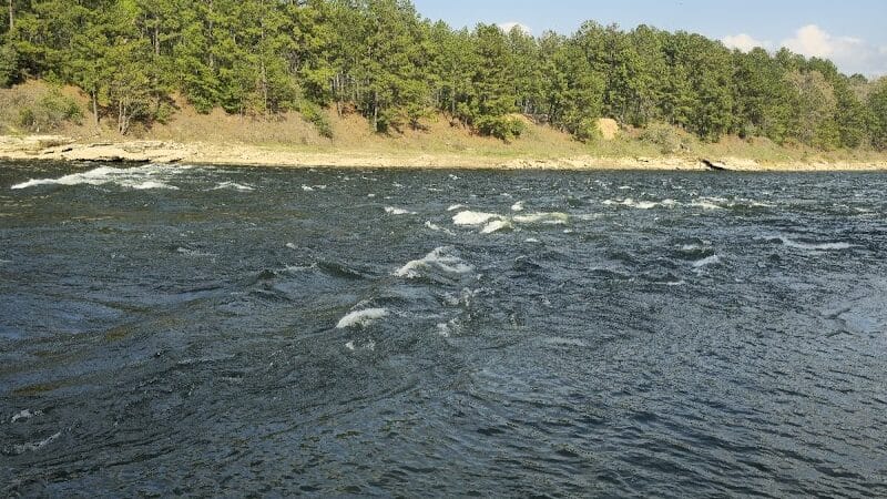 Sam Forse Collins Recreation Area - Burkeville, TX