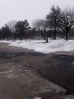 Burlington Regional Dog Park