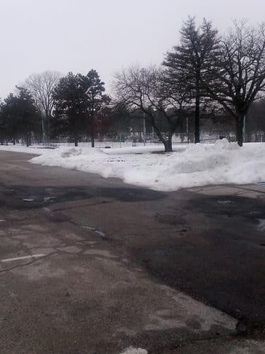 Burlington Regional Dog Park