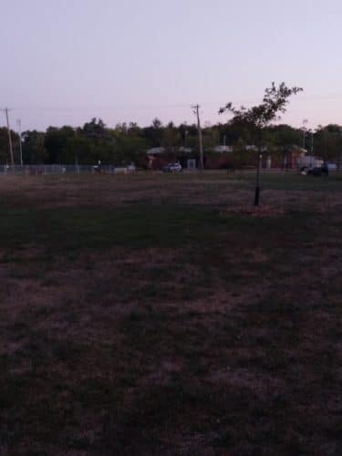 Burlington Regional Dog Park