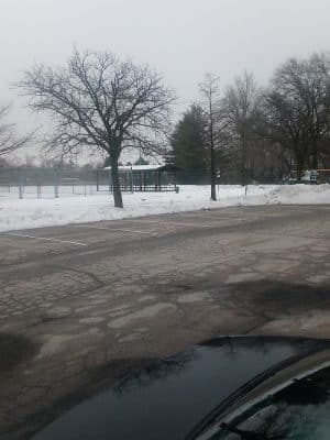 Burlington Regional Dog Park