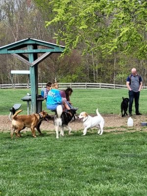 Boone County Dog Park