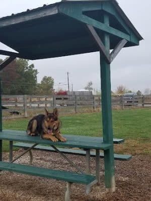 Boone County Dog Park