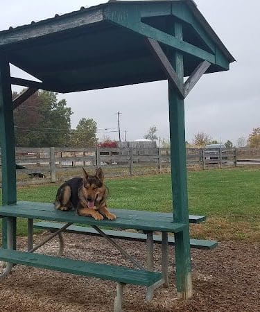 Boone County Dog Park